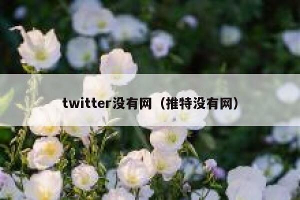 twitter没有网（推特没有网） 第1张