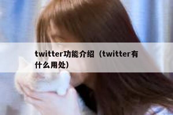 twitter功能介绍（twitter有什么用处） 第1张