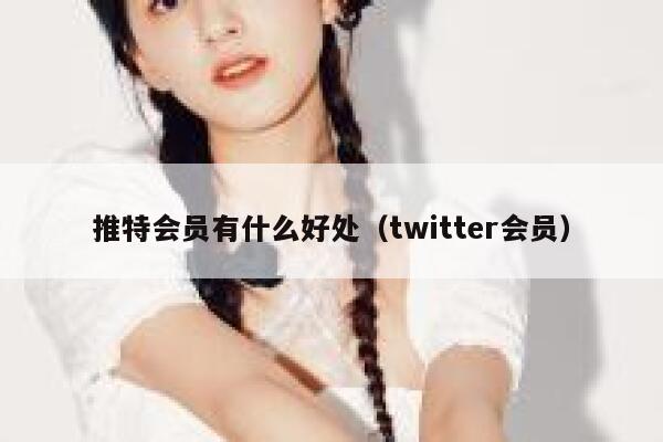 推特会员有什么好处（twitter会员） 第1张