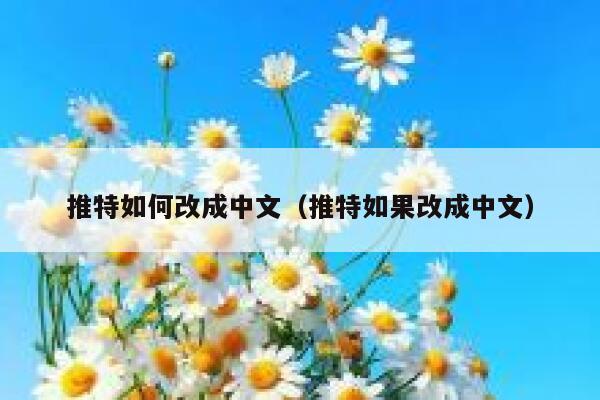 推特如何改成中文（推特如果改成中文） 第1张