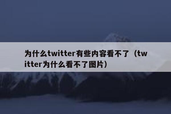 为什么twitter有些内容看不了（twitter为什么看不了图片） 第1张