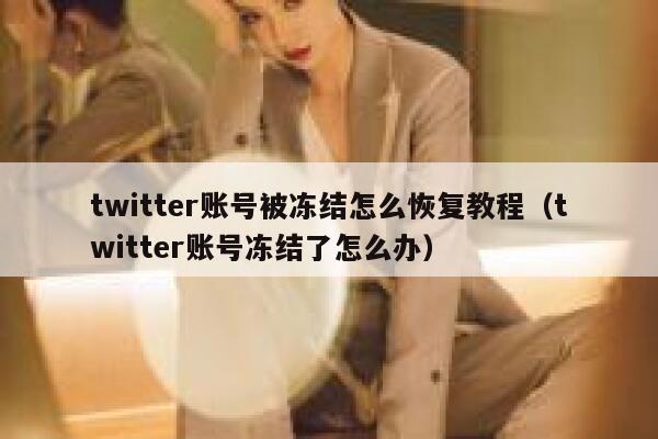 twitter账号被冻结怎么恢复教程（twitter账号冻结了怎么办） 第1张