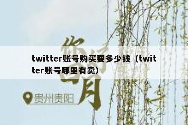 twitter账号购买要多少钱（twitter账号哪里有卖） 第1张