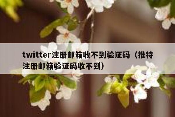 twitter注册邮箱收不到验证码（推特注册邮箱验证码收不到） 第1张