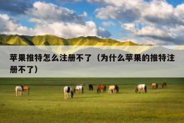 苹果推特怎么注册不了（为什么苹果的推特注册不了） 第1张