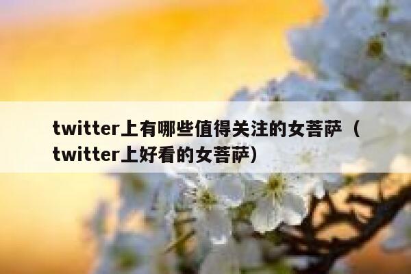 twitter上有哪些值得关注的女菩萨（twitter上好看的女菩萨） 第1张