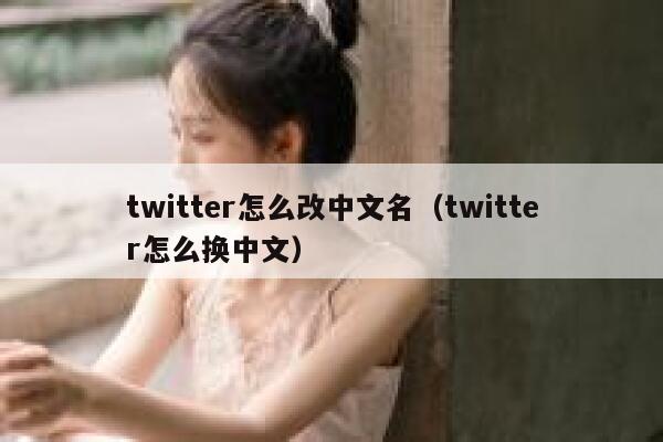 twitter怎么改中文名（twitter怎么换中文） 第1张