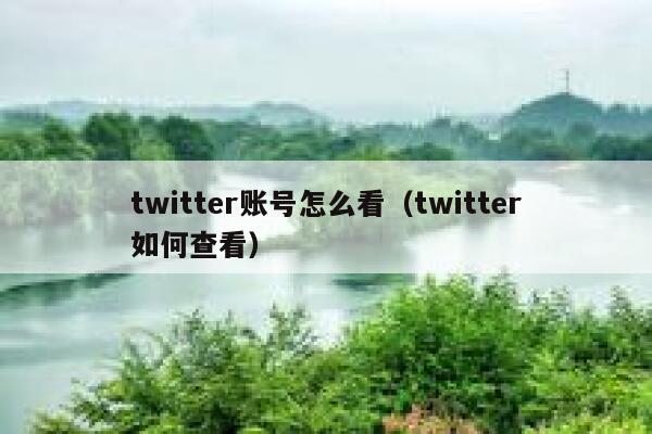twitter账号怎么看（twitter如何查看） 第1张