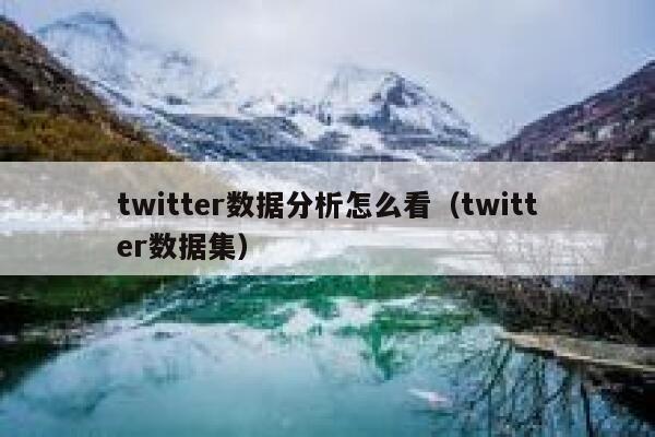 twitter数据分析怎么看（twitter数据集） 第1张