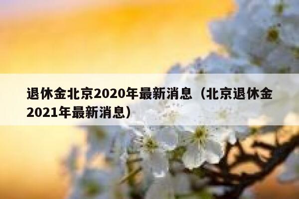 退休金北京2020年最新消息（北京退休金2021年最新消息） 第1张