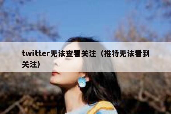 twitter无法查看关注（推特无法看到关注） 第1张