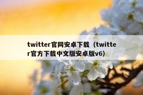 twitter官网安卓下载（twitter官方下载中文版安卓版v6） 第1张