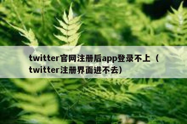 twitter官网注册后app登录不上（twitter注册界面进不去） 第1张