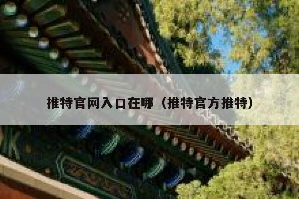 推特官网入口在哪（推特官方推特） 第1张