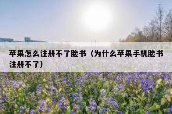苹果怎么注册不了脸书（为什么苹果手机脸书注册不了） 第1张
