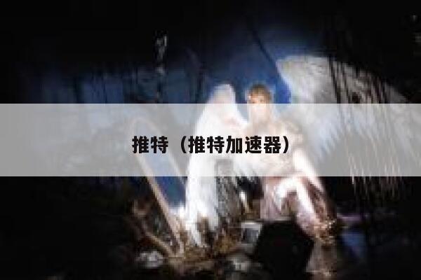 推特（推特加速器） 第1张
