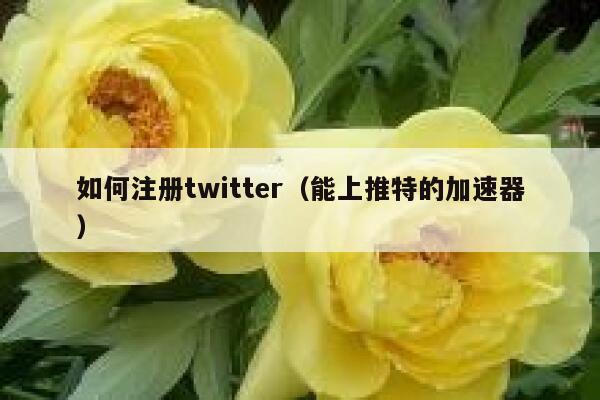 如何注册twitter（能上推特的加速器） 第1张