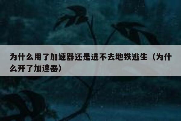 为什么用了加速器还是进不去地铁逃生（为什么开了加速器） 第1张