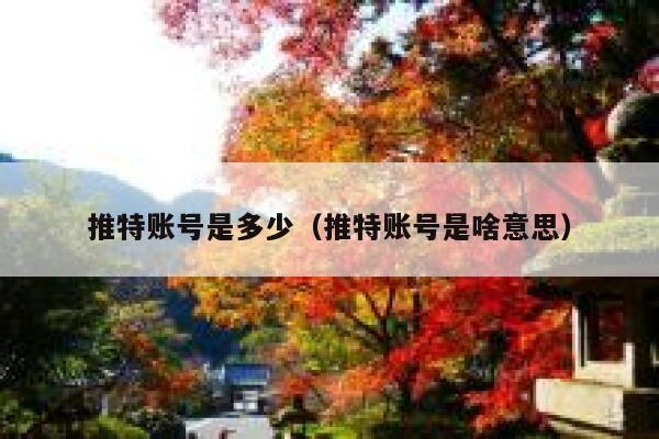 推特账号是多少（推特账号是啥意思） 第1张