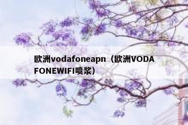 欧洲vodafoneapn（欧洲VODAFONEWIFI喷浆） 第1张