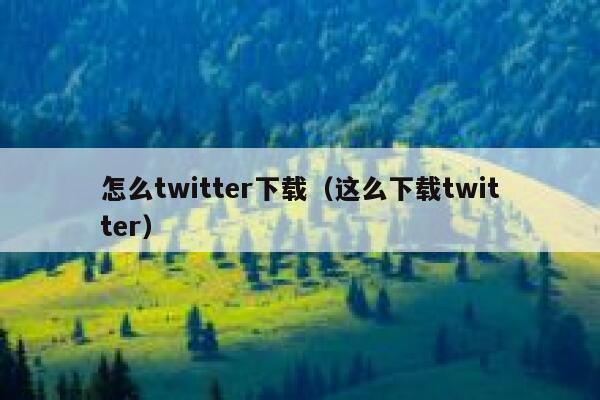 怎么twitter下载（这么下载twitter） 第1张