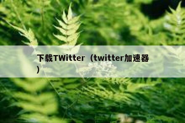 下载TWitter（twitter加速器） 第1张