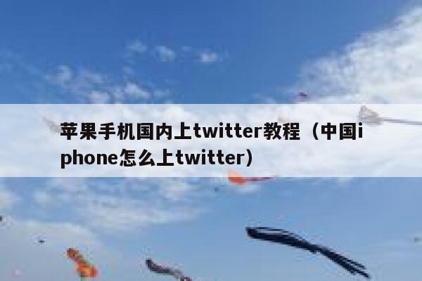 苹果手机国内上twitter教程（中国iphone怎么上twitter） 第1张