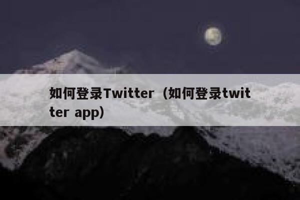 如何登录Twitter（如何登录twitter app） 第1张