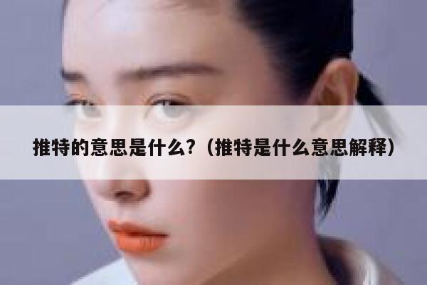 推特的意思是什么?（推特是什么意思解释） 第1张