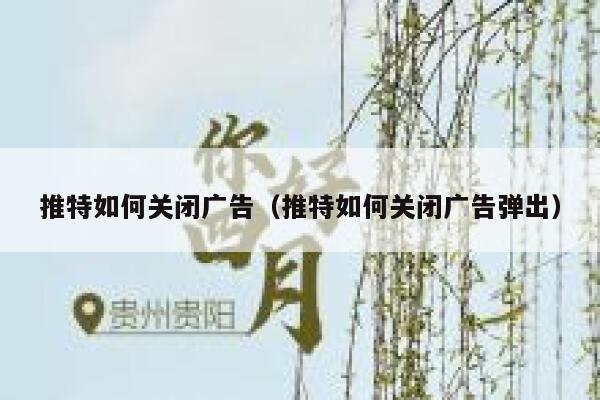 推特如何关闭广告（推特如何关闭广告弹出） 第1张