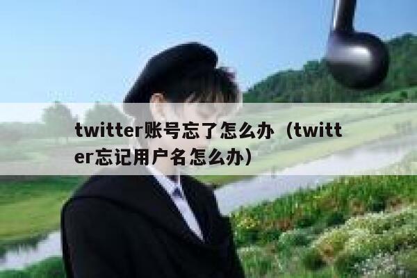 twitter账号忘了怎么办（twitter忘记用户名怎么办） 第1张