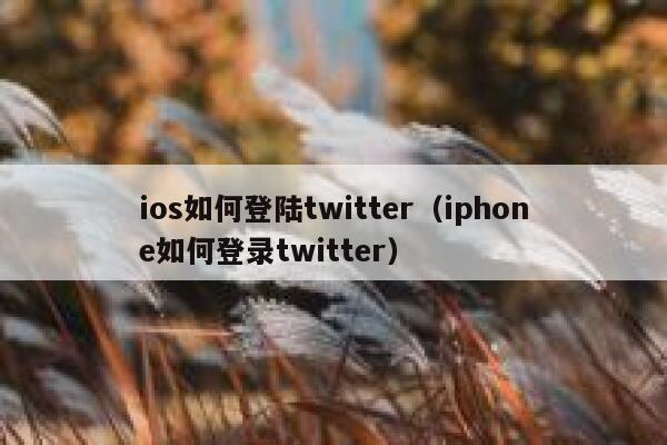 ios如何登陆twitter（iphone如何登录twitter） 第1张