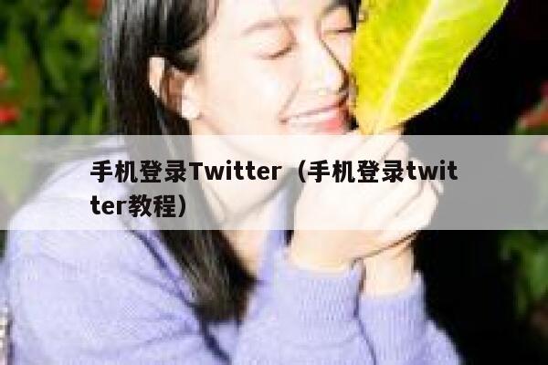 手机登录Twitter（手机登录twitter教程） 第1张