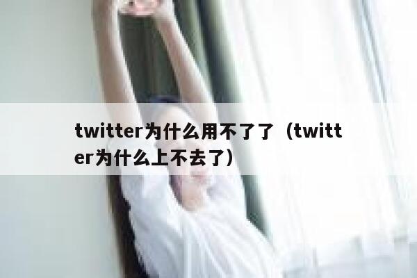 twitter为什么用不了了（twitter为什么上不去了） 第1张