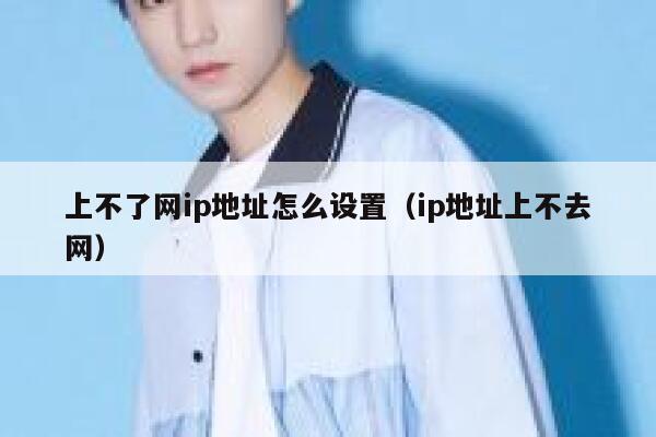上不了网ip地址怎么设置（ip地址上不去网） 第1张