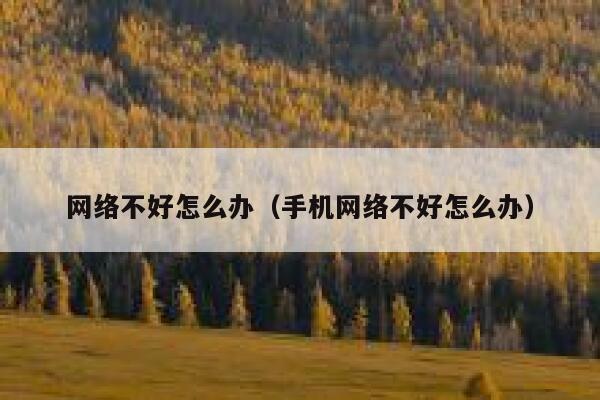 网络不好怎么办（手机网络不好怎么办） 第1张