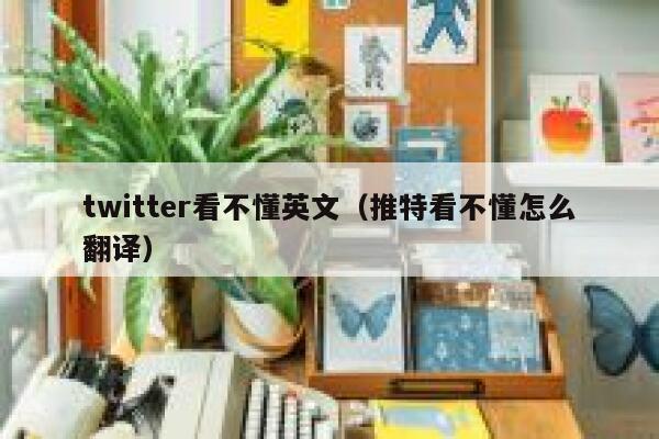 twitter看不懂英文（推特看不懂怎么翻译） 第1张