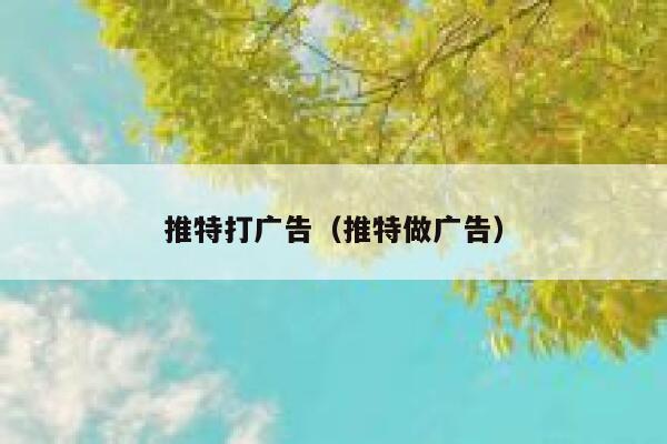 推特打广告（推特做广告） 第1张