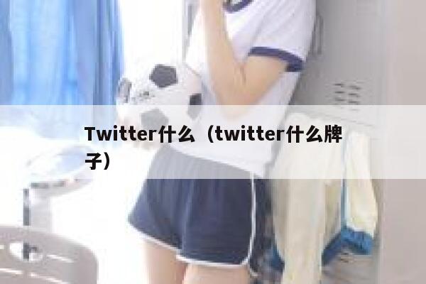 Twitter什么（twitter什么牌子） 第1张
