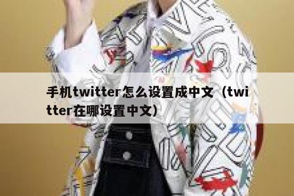 手机twitter怎么设置成中文(twitter在哪设置中文) 第1张 手机twitter怎么设置成中文(twitter在哪设置中文) 第1张