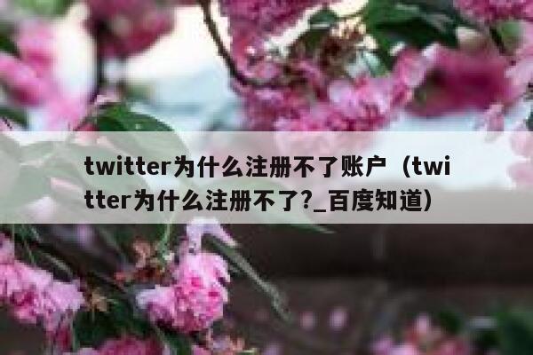 twitter为什么注册不了账户（twitter为什么注册不了?_百度知道） 第1张