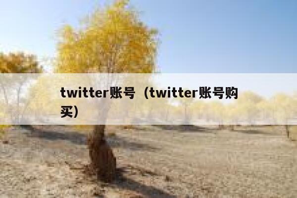 twitter账号（twitter账号购买） 第1张