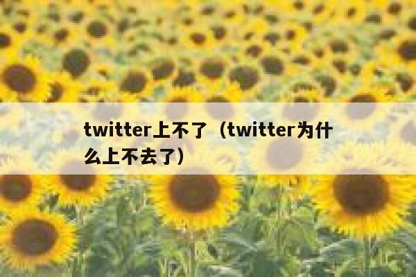 twitter上不了（twitter为什么上不去了） 第1张