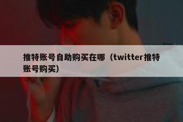 推特账号自助购买在哪（twitter推特账号购买） 第1张