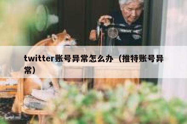 twitter账号异常怎么办（推特账号异常） 第1张