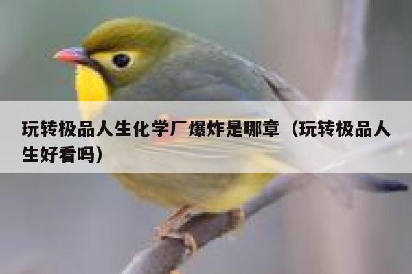 玩转极品人生化学厂爆炸是哪章（玩转极品人生好看吗） 第1张