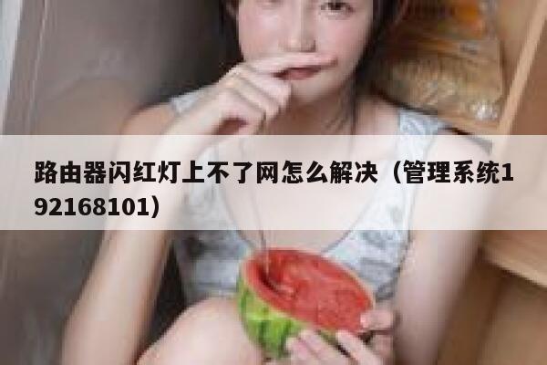 路由器闪红灯上不了网怎么解决（管理系统192168101） 第1张