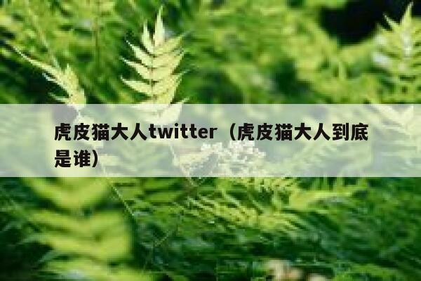 虎皮猫大人twitter（虎皮猫大人到底是谁） 第1张