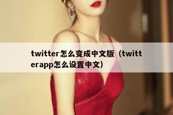 twitter怎么变成中文版（twitterapp怎么设置中文） 第1张