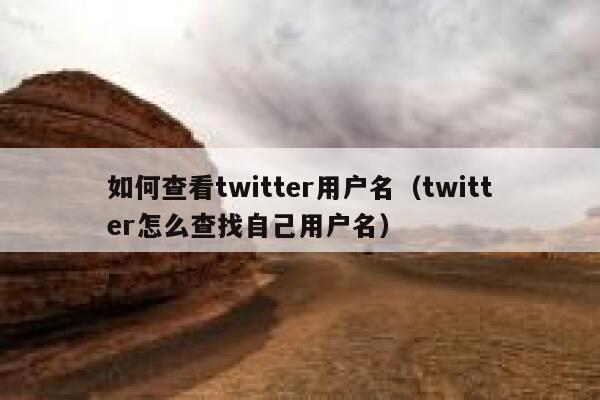 如何查看twitter用户名（twitter怎么查找自己用户名） 第1张